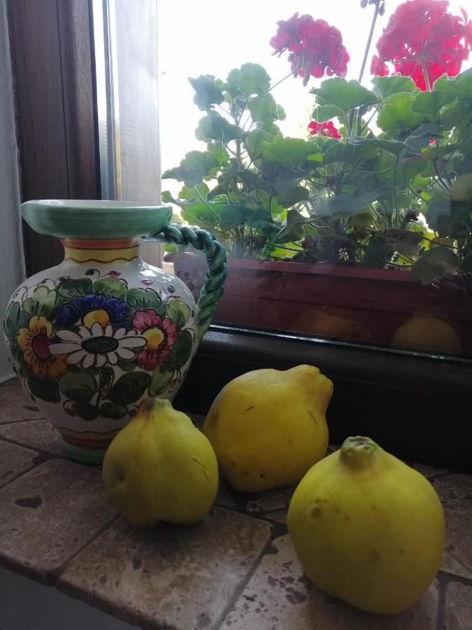 Casa Verde Воронец Екстериор снимка