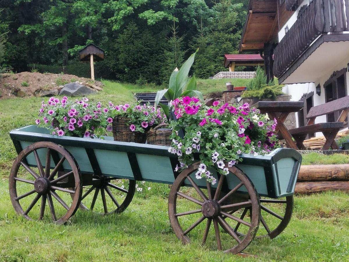 Casa Verde Воронец Екстериор снимка